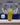 Wings Sugar Free Energy Drink